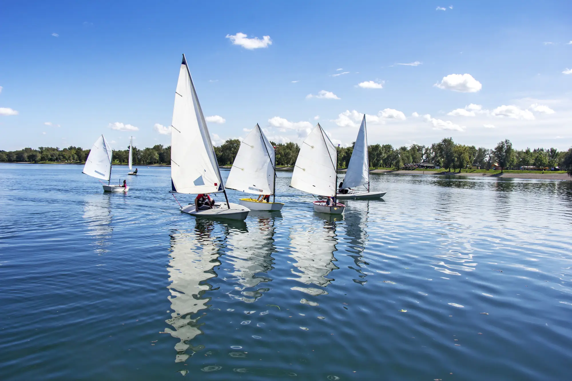 Short Term Banner Image