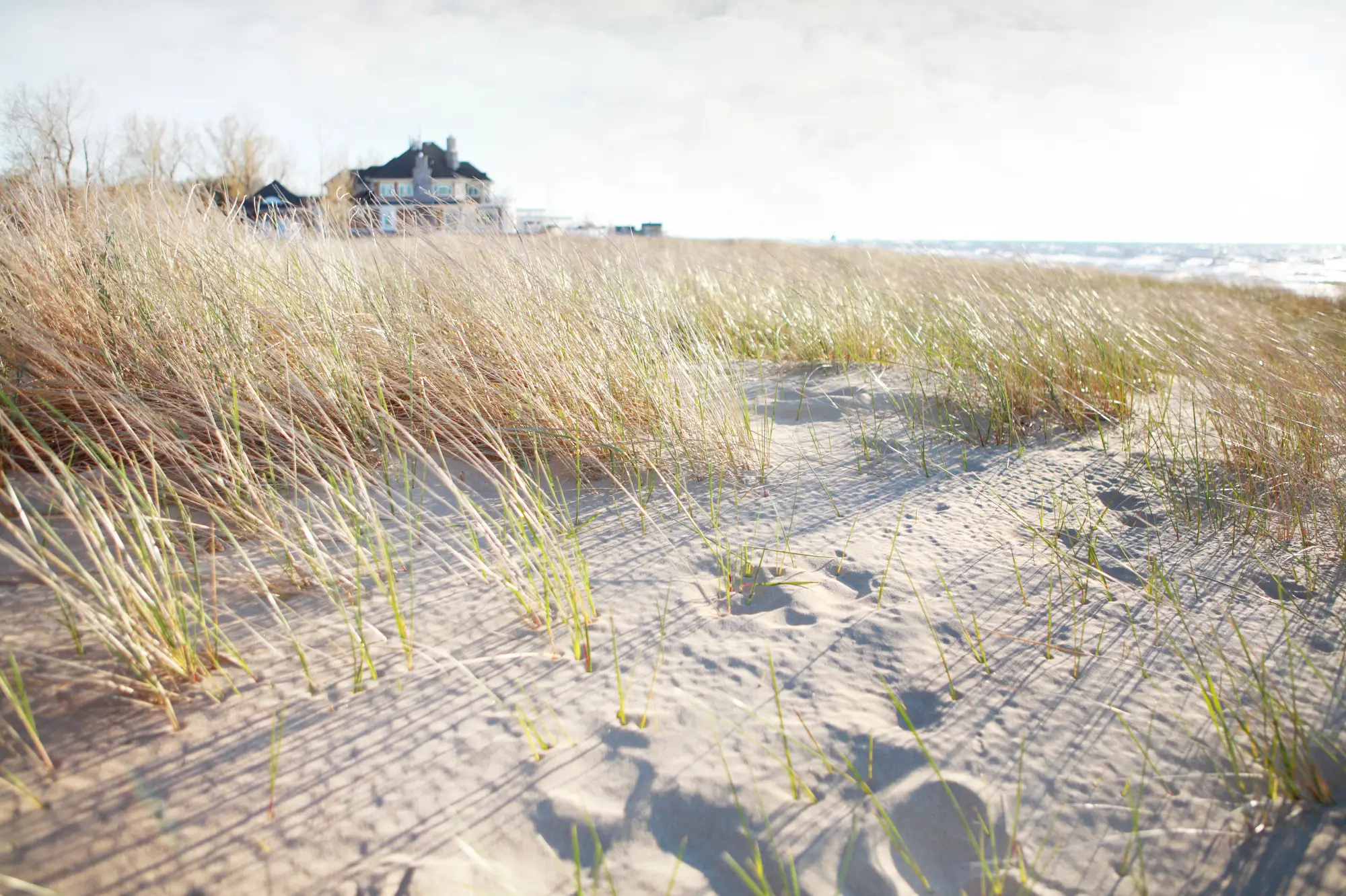 Short Term Banner Image